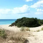 Salento *