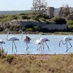 Salento 度假居