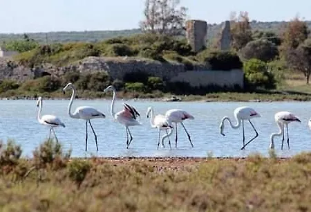 Salento Hébergement de vacances